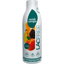 IOGURTE VERDE CAMPO LACFREE 500G SALADA